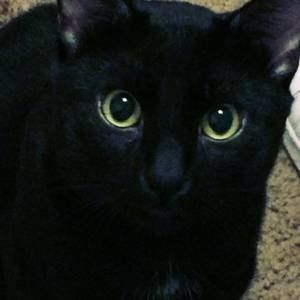 Meet your Posher, Tsitsiki